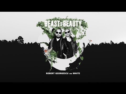 Robert Georgescu and White - Beast And The Beauty (Visualizer)