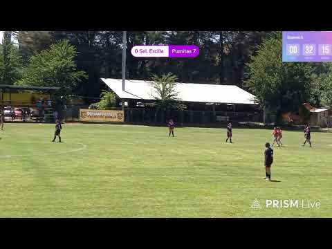 Final Regional Femenino Anfur Araucanía 2026. CEL.Ercilla v/s Pumitas de Cunco.