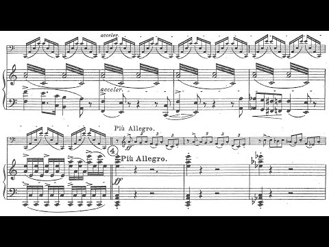 Sergei Bortkiewicz - Cello Concerto in One Movement Op. 20 (Nor, Sukach)