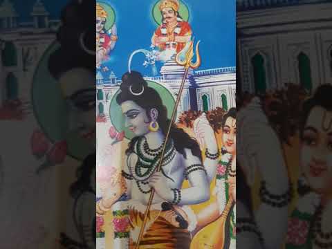 Angle numbers 515 and 616