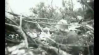 Kula Shaker - Cavalry