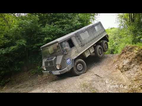 Der Wolf ist los 2022