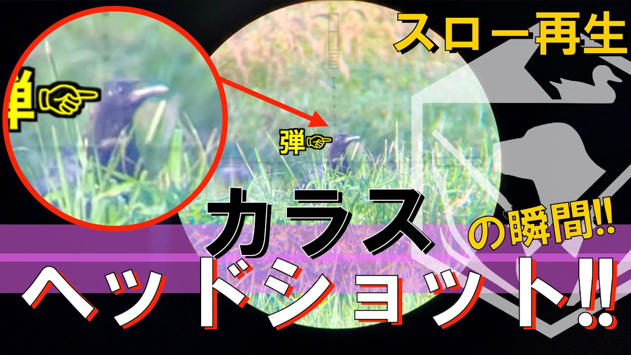 【有害鳥獣駆除】カラスを狙うスコープから見るスローの世界！エアライフル空気銃猟