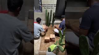 Download lagu Taman Minimalis didalam rumah mp3