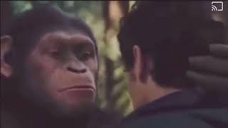 Caesar Asked to Borrow 20 dollars