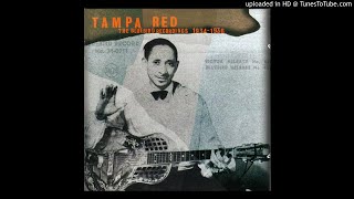 &quot;Mean Mistreater Blues&quot; by TAMPA RED (1934)