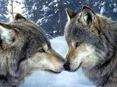 E QUEL GIORNO NON MI PERDERAI PIU'