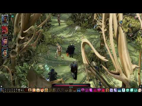 Divinity Original Sin 2 056 GARETH OR ALEXANDER