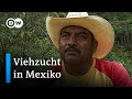 Mexiko: Artenschutz durch nachhaltige Tierhaltung | Global Ideas