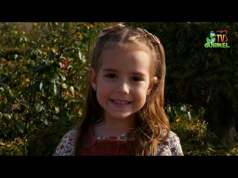 Ghidușii - Cântecul pentru toți (Bim Biribim)