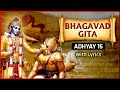 भगवद गीता अध्याय १५ पुरुषोत्तम योग Bhagava