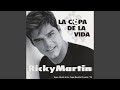La Copa de la Vida (La Cancion Oficial de la Copa Mundial, Francia '98) ((Remix) [Spanish Radio...