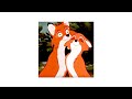 Fall Out Boy Miss Missing You The Fox And The Hound