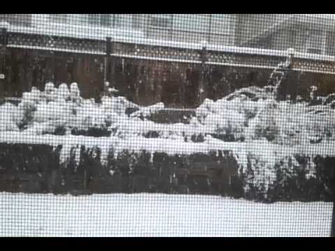 December 18, 2012 8:56 AM