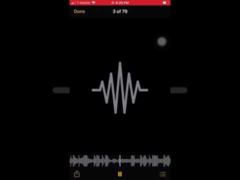 Ray Rizzle X KekMayo Honest