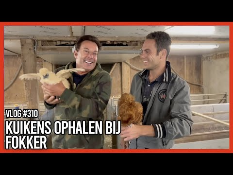 KUIKENS OPHALEN BIJ FOKKER - GERARD JOLING - VLOG #310