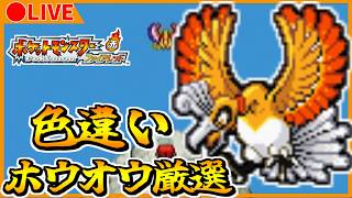 🔴【ポケモンFRLG】 へそのいわ　色違いホウオウ粘り　6501~ 【ポケットモンスター ファイアレッド】