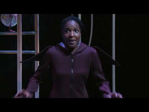 Trailer De jokkebrokker - Maas theater en dans / WAT WE DOEN