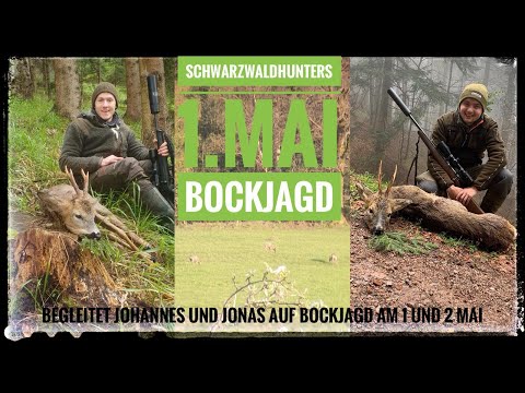May Buck | Buck Hunt 2021 | Dream Hunting Day May 1st | Black Forest Hunters |