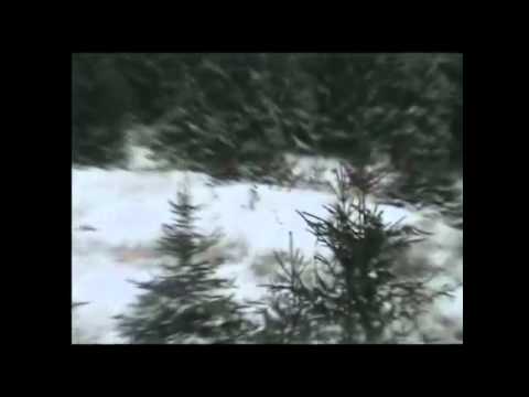 Cazare Particulari Litoral - Cazat.ro