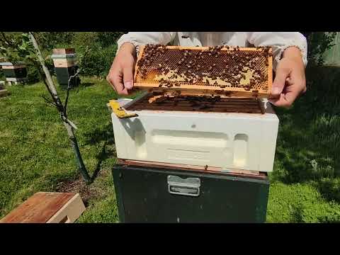 Andra skattlådan 22/5-22