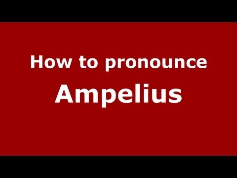 How to Pronounce Ampelius - PronounceNames.com
