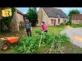 Clearing Land & Harvesting Elderflowers