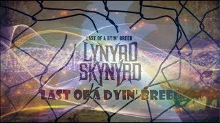 Lynyrd Skynyrd - Last of a dyin&#39; breed