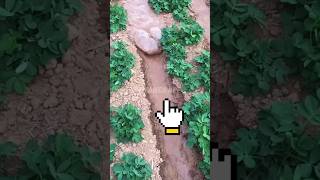 Download lagu lNOVASI YANG KEREN 😱😱😱 #shorts mp3 Download lagu lNOVASI YANG KEREN 😱😱😱 #shorts mp3