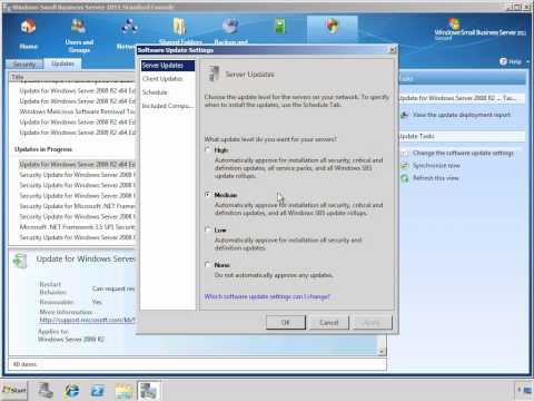 SBS 2011 Standard Learning Bites - Managing Updates.wmv