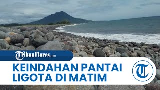 Menikmati Keindahan Pantai Ligota di Matim, Suguhkan Bebatuan & Hamparan Pasir Putih Kehitam-hitaman