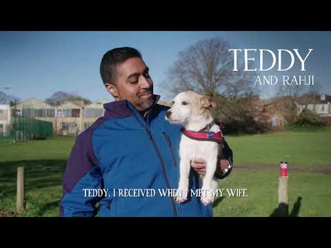 Butcher's Food for Dog TV Advert - Behind the Scenes - Teddy and Rahji