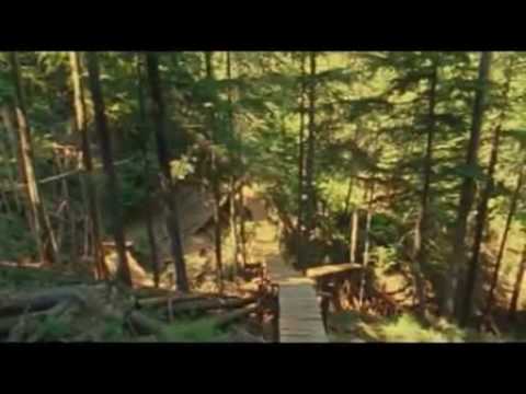 Wade Simmons biken im wald