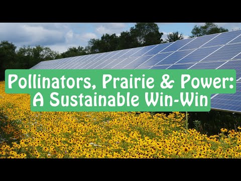 Pollinators, Prairie & Power: A Sustainable Win-Win