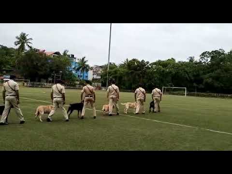 Dog show by Goa Police Dogs at Duler, Mapusa during inaugural football match of Goa Police Cup-2022