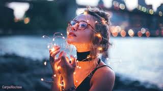 Bird Passengers - Afterglow (Lyric video)