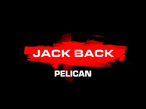 Video thumbnail for Pelican