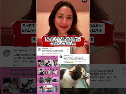 Sherina Munaf Reveals the Status of Uya Kuya's Missing Cat