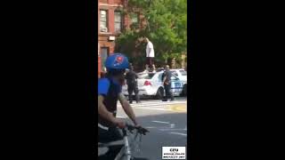 28 PCT. NYPD v EDP Gone Wild