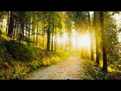 SOPRANO - O caminho de Sião - Coros e Antífonas