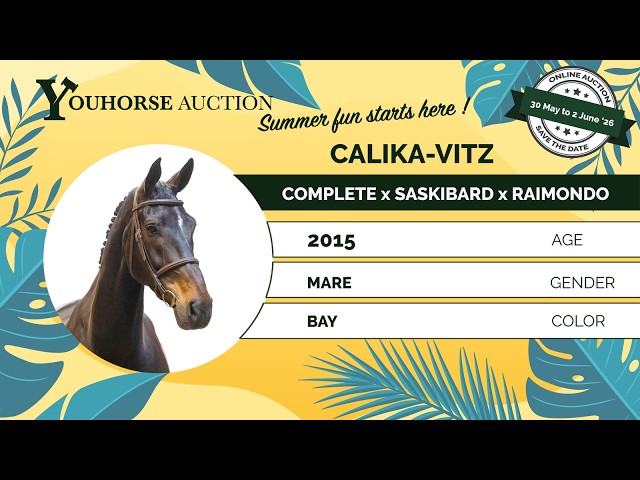 Calika-Vitz