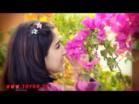 الجنة - ديمة ومحمد بشار