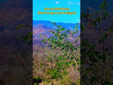 Serranía Dipilto-Jalapa, desde alguna parte de Mozonte. Hasta allí llega Nicaragua. #nicaragua