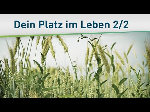 Das Gleichnis vom Unkraut im Weizenfeld 2/2 – Bayless Conley
