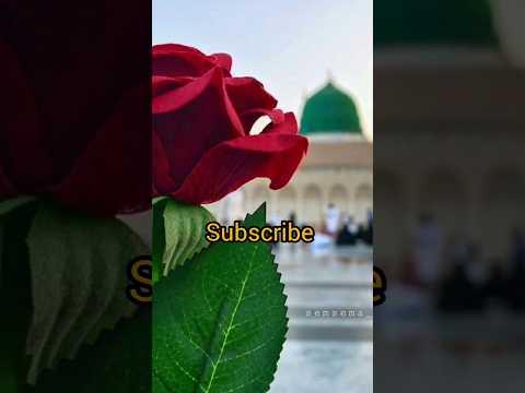 Ma sha allah #viralvideo #foryou #beautiful #trending #1million #madina #muslim #shortvideo #viral