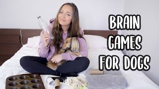 TRYING DIY ENRICHMENT DOG GAMES/BRAIN GAMES FOR DOGS