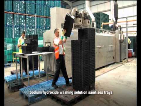 LINPAC Allibert Tray Wash Services
