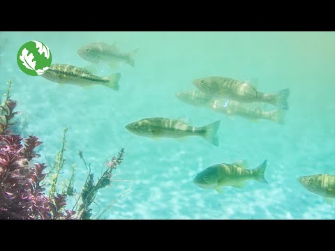 Texas Water Program | The Nature Conservancy