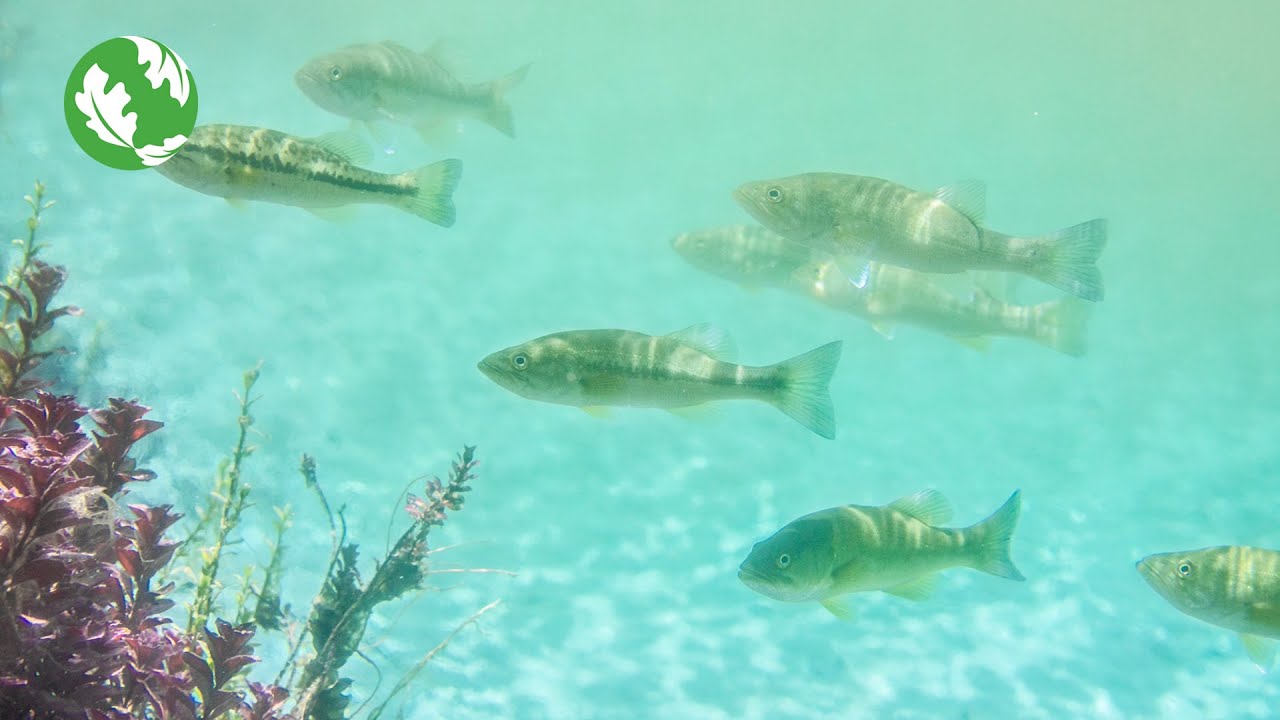 Daytripping with The Nature Conservancy in Texas: Fresh Water