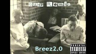 Guap Remix  Big Sean (BreezCover)